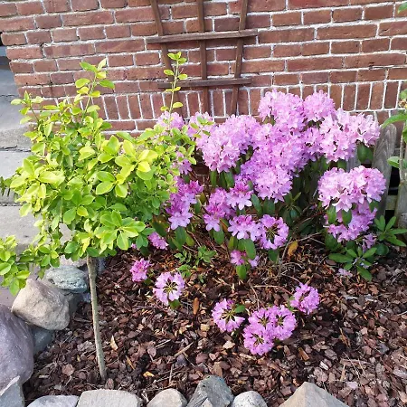 Johannes Hof * Bunde (Lower Saxony)