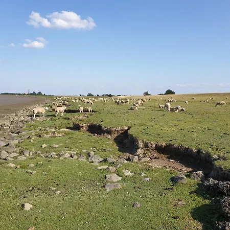 Johannes Hof * Bunde (Lower Saxony)