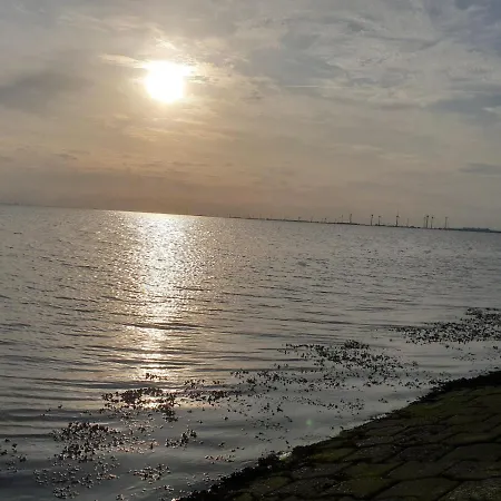 Johannes Hof דירה