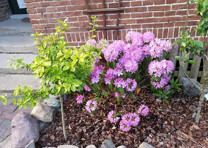 Johannes Hof * Bunde (Lower Saxony)