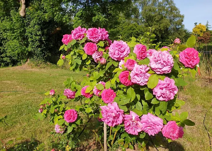 Johannes Hof Bunde (Lower Saxony)